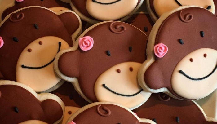 monkey