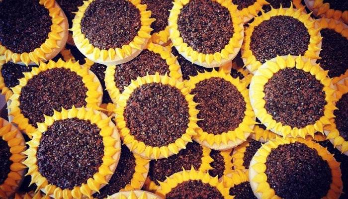 sunflowers